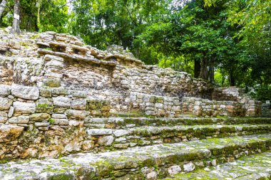 Coba Maya, Coba Belediyesi Tulum Quintana Roo Mexico 'daki tropikal orman ormanlarındaki antik binaları ve piramitleri harap ediyor..