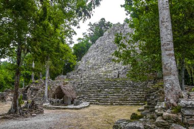 Coba Maya, Coba Belediyesi Tulum Quintana Roo Mexico 'daki tropikal orman ormanlarındaki antik binaları ve piramitleri harap ediyor..