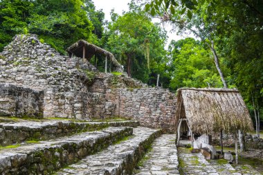 Coba Maya, Coba Belediyesi Tulum Quintana Roo Mexico 'daki tropikal orman ormanlarındaki antik binaları ve piramitleri harap ediyor..