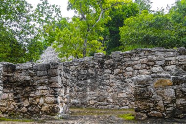 Coba Maya, Coba Belediyesi Tulum Quintana Roo Mexico 'daki tropikal orman ormanlarındaki antik binaları ve piramitleri harap ediyor..