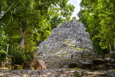 Coba Maya, Coba Belediyesi Tulum Quintana Roo Mexico 'daki tropikal orman ormanlarındaki antik binaları ve piramitleri harap ediyor..