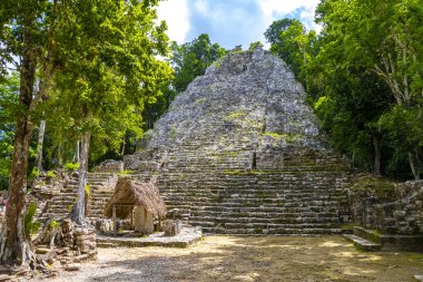 Coba Maya, Coba Belediyesi Tulum Quintana Roo Mexico 'daki tropikal orman ormanlarındaki antik binaları ve piramitleri harap ediyor..
