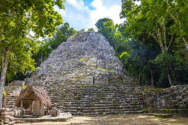 Coba Maya, Coba Belediyesi Tulum Quintana Roo Mexico 'daki tropikal orman ormanlarındaki antik binaları ve piramitleri harap ediyor..