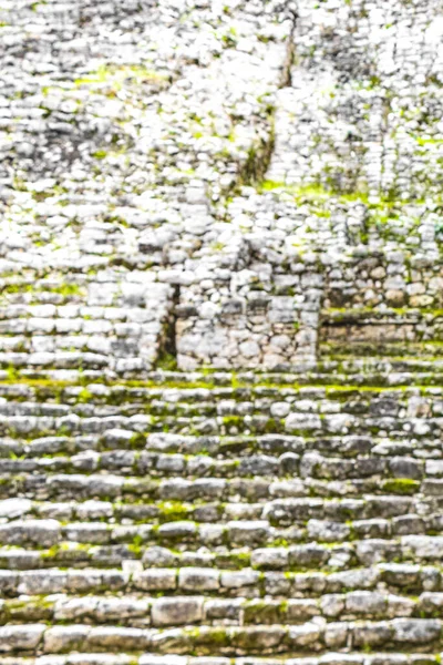 Coba Maya, Coba Belediyesi Tulum Quintana Roo Mexico 'daki tropikal orman ormanlarındaki antik binaları ve piramitleri harap ediyor..