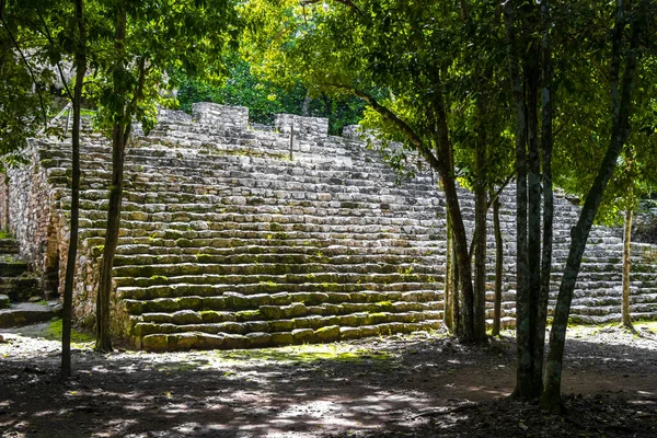 Coba Maya Ruins the ancient buildings and pyramids in the tropical forest jungle in Coba Municipality Tulum Quintana Roo Mexico.