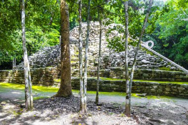 Coba Maya, Coba Belediyesi Tulum Quintana Roo Mexico 'daki tropikal orman ormanlarındaki antik binaları ve piramitleri harap ediyor..