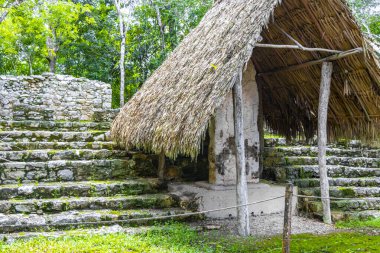 Coba Maya, Coba Belediyesi Tulum Quintana Roo Mexico 'daki tropikal orman ormanlarındaki antik binaları ve piramitleri harap ediyor..