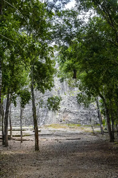 Coba Maya Tönkreteszi Ősi Épület Piramis Nohoch Mul Trópusi Erdő — Stock Fotó