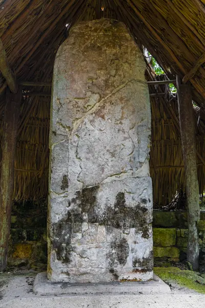 Letreros Paneles Fuentes Información Coba Maya Ruinas Los Edificios Antiguos — Foto de Stock