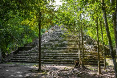 Coba Maya, Coba Belediyesi Tulum Quintana Roo Mexico 'daki tropikal orman ormanlarındaki antik binaları ve piramitleri harap ediyor..