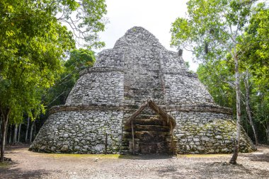 Coba Maya 'daki Xaibe Coba Belediyesi' ndeki tropikal orman ormanı Tulum Quintana Roo Mexico 'daki antik binaları ve piramitleri harap ediyor..