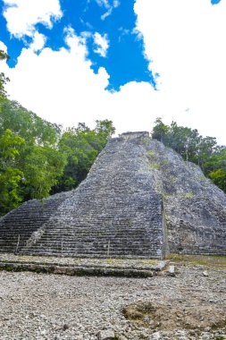 Coba Maya, Coba Belediyesi Tulum Quintana Roo Meksika 'daki tropikal orman ormanlarındaki antik bina ve piramit Nohoch Mul' u harap ediyor..