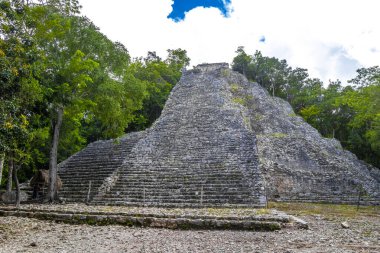 Coba Maya, Coba Belediyesi Tulum Quintana Roo Meksika 'daki tropikal orman ormanlarındaki antik bina ve piramit Nohoch Mul' u harap ediyor..
