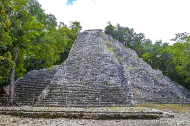 Coba Maya, Coba Belediyesi Tulum Quintana Roo Meksika 'daki tropikal orman ormanlarındaki antik bina ve piramit Nohoch Mul' u harap ediyor..
