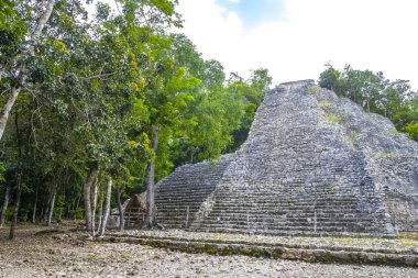 Coba Maya, Coba Belediyesi Tulum Quintana Roo Meksika 'daki tropikal orman ormanlarındaki antik bina ve piramit Nohoch Mul' u harap ediyor..