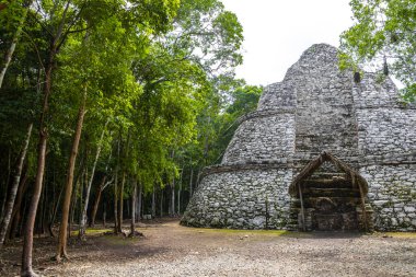 Coba Maya 'daki Xaibe Coba Belediyesi' ndeki tropikal orman ormanı Tulum Quintana Roo Mexico 'daki antik binaları ve piramitleri harap ediyor..