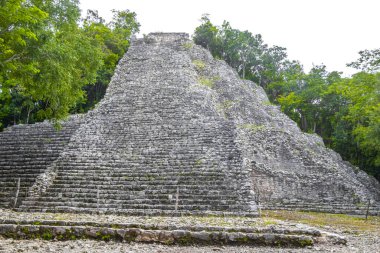 Coba Maya, Coba Belediyesi Tulum Quintana Roo Meksika 'daki tropikal orman ormanlarındaki antik bina ve piramit Nohoch Mul' u harap ediyor..