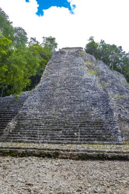 Coba Maya, Coba Belediyesi Tulum Quintana Roo Meksika 'daki tropikal orman ormanlarındaki antik bina ve piramit Nohoch Mul' u harap ediyor..