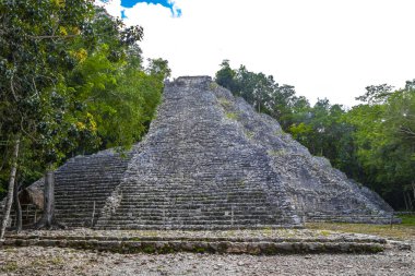 Coba Maya, Coba Belediyesi Tulum Quintana Roo Meksika 'daki tropikal orman ormanlarındaki antik bina ve piramit Nohoch Mul' u harap ediyor..