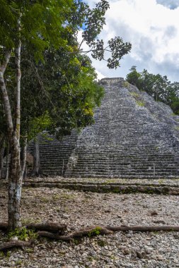 Coba Maya, Coba Belediyesi Tulum Quintana Roo Meksika 'daki tropikal orman ormanlarındaki antik bina ve piramit Nohoch Mul' u harap ediyor..