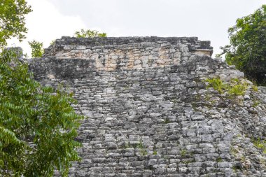 Coba Maya, Coba Belediyesi Tulum Quintana Roo Meksika 'daki tropikal orman ormanlarındaki antik bina ve piramit Nohoch Mul' u harap ediyor..