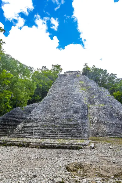 Coba Maya Arruína Antigo Edifício Pirâmide Nohoch Mul Selva Floresta — Fotografia de Stock