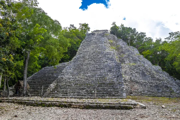Coba Maya Tönkreteszi Ősi Épület Piramis Nohoch Mul Trópusi Erdő — Stock Fotó