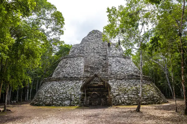 Coba Maya 'daki Xaibe Coba Belediyesi' ndeki tropikal orman ormanı Tulum Quintana Roo Mexico 'daki antik binaları ve piramitleri harap ediyor..