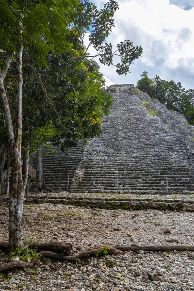 Coba Maya Ruins Ancient Building Pyramid Nohoch Mul Tropical Forest — Stock fotografie
