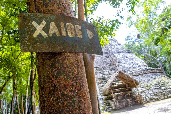 Xaibe Coba Maya Tönkreteszi Ősi Épületek Piramisok Trópusi Erdő Dzsungel — Stock Fotó