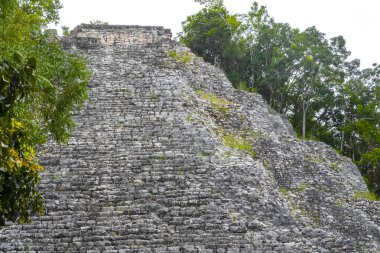 Coba Maya, Coba Belediyesi Tulum Quintana Roo Meksika 'daki tropikal orman ormanlarındaki antik bina ve piramit Nohoch Mul' u harap ediyor..