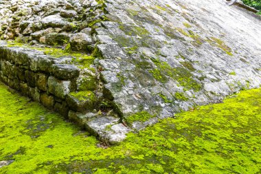 Coba Maya, Coba Belediyesi Tulum Quintana Roo Mexico 'daki tropikal orman ormanlarındaki antik binaları ve piramitleri harap ediyor..