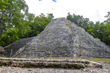 Coba Maya, Coba Belediyesi Tulum Quintana Roo Meksika 'daki tropikal orman ormanlarındaki antik bina ve piramit Nohoch Mul' u harap ediyor..