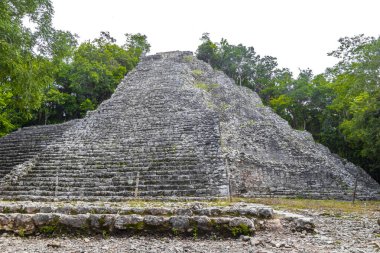 Coba Maya, Coba Belediyesi Tulum Quintana Roo Meksika 'daki tropikal orman ormanlarındaki antik bina ve piramit Nohoch Mul' u harap ediyor..