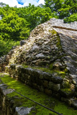 Coba Maya, Coba Belediyesi Tulum Quintana Roo Mexico 'daki tropikal orman ormanlarındaki antik binaları ve piramitleri harap ediyor..