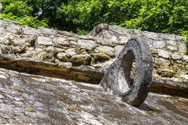Coba Maya, Coba Belediyesi Tulum Quintana Roo Mexico 'daki tropikal orman ormanlarındaki antik binaları ve piramitleri harap ediyor..