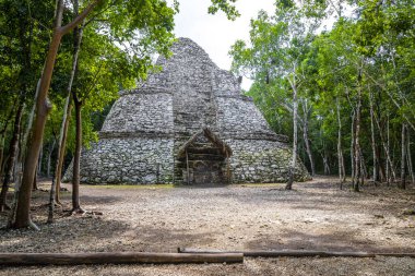 Coba Maya 'daki Xaibe Coba Belediyesi' ndeki tropikal orman ormanı Tulum Quintana Roo Mexico 'daki antik binaları ve piramitleri harap ediyor..
