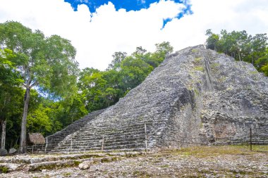 Coba Maya, Coba Belediyesi Tulum Quintana Roo Meksika 'daki tropikal orman ormanlarındaki antik bina ve piramit Nohoch Mul' u harap ediyor..