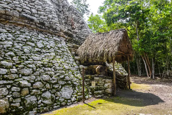 Xaibe Coba Maya Ruiny Starożytnych Budynków Piramid Tropikalnej Dżungli Leśnej — Zdjęcie stockowe