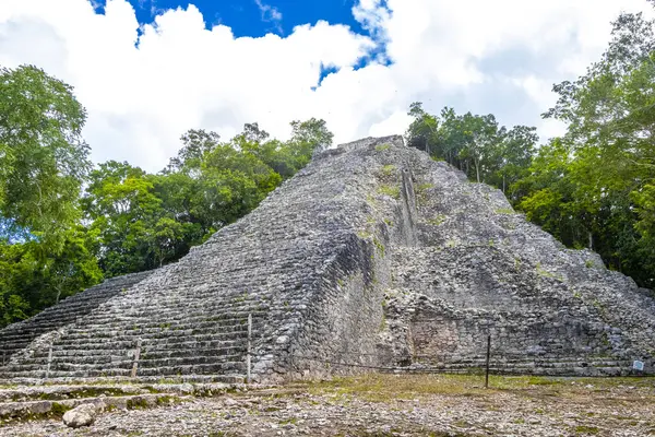 Coba Maya Ruins Ancient Building Pyramid Nohoch Mul Tropical Forest — Stock Photo, Image