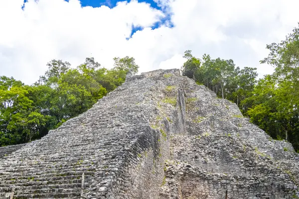 コバーマヤ遺跡 古代の建物とピラミッドノーチム コバー市チュムキンタナルーメキシコの熱帯林ジャングルで — ストック写真