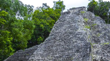 Coba Maya, Coba Belediyesi Tulum Quintana Roo Meksika 'daki tropikal orman ormanlarındaki antik bina ve piramit Nohoch Mul' u harap ediyor..