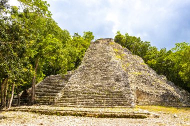 Coba Maya, Coba Belediyesi Tulum Quintana Roo Meksika 'daki tropikal orman ormanlarındaki antik bina ve piramit Nohoch Mul' u harap ediyor..