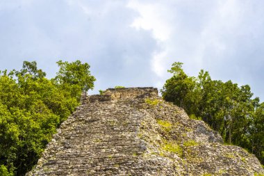 Coba Maya, Coba Belediyesi Tulum Quintana Roo Meksika 'daki tropikal orman ormanlarındaki antik bina ve piramit Nohoch Mul' u harap ediyor..