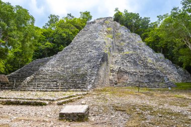 Coba Maya, Coba Belediyesi Tulum Quintana Roo Meksika 'daki tropikal orman ormanlarındaki antik bina ve piramit Nohoch Mul' u harap ediyor..