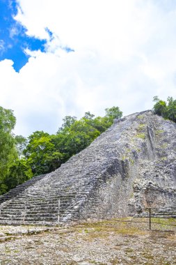 Coba Maya, Coba Belediyesi Tulum Quintana Roo Meksika 'daki tropikal orman ormanlarındaki antik bina ve piramit Nohoch Mul' u harap ediyor..