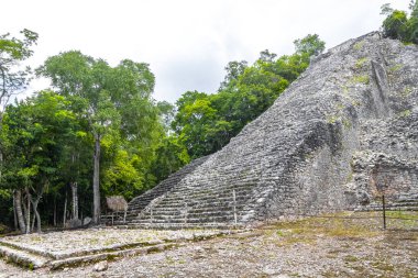 Coba Maya, Coba Belediyesi Tulum Quintana Roo Meksika 'daki tropikal orman ormanlarındaki antik bina ve piramit Nohoch Mul' u harap ediyor..