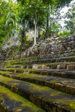 Coba Maya, Coba Belediyesi Tulum Quintana Roo Mexico 'daki tropikal orman ormanlarındaki antik binaları ve piramitleri harap ediyor..
