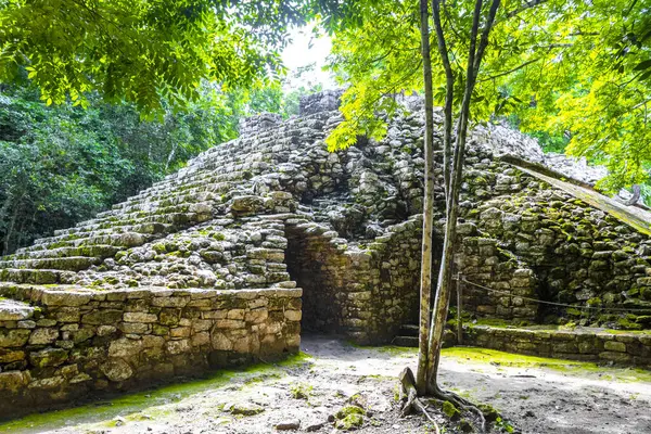マヤ遺跡 コバ市チュウム クインタナ ルーメキシコの熱帯森林ジャングルにある古代の建物とピラミッド — ストック写真