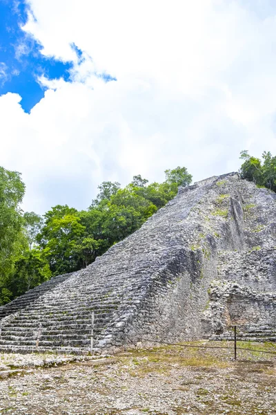 Coba Maya Ruins the ancient building and pyramid Nohoch Mul in the tropical forest jungle in Coba Municipality Tulum Quintana Roo Mexico.